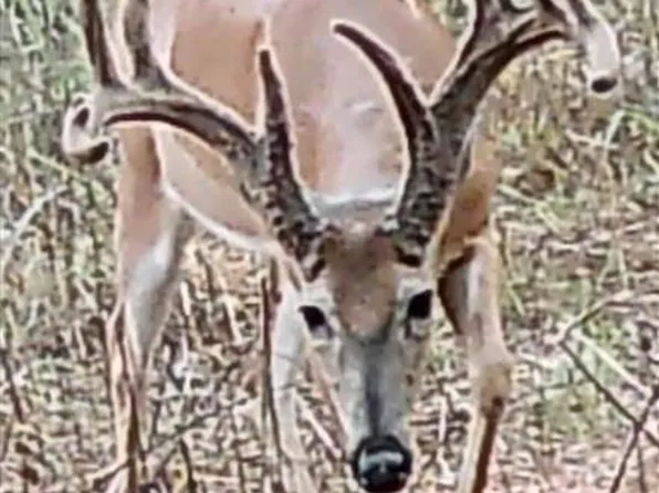 TRACT 3 Price Hill Spur Rd, Campbellsville, KY 42718