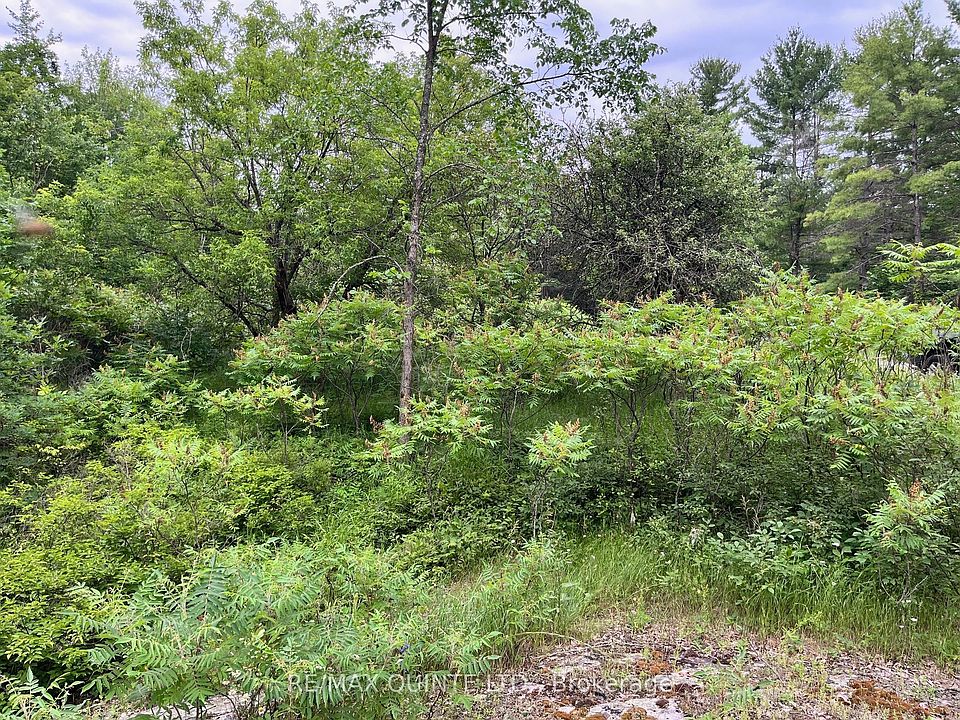 2nd image of 0 Potter Settlement Rd
