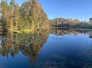 117 Myrtle Ridge Rd, Lutz, FL 33549