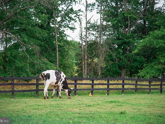 5th image of 4273 Durham Rd