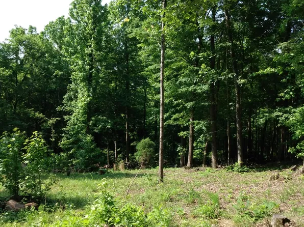 418 Oak Tree Dr, Spring City, TN 37381