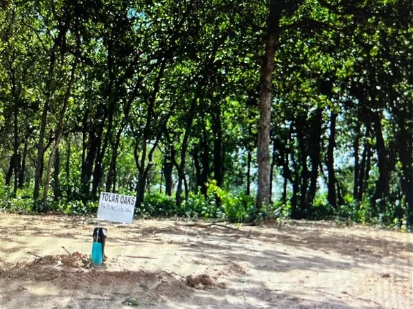 116 Peace Lily Way, Tolar, TX 76476