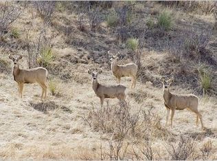 10386 Chinook Trl, Parker, CO 80138