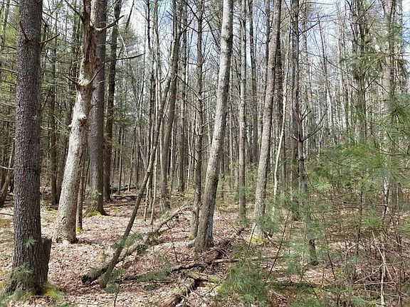 3rd image of 53 Hillside Dr