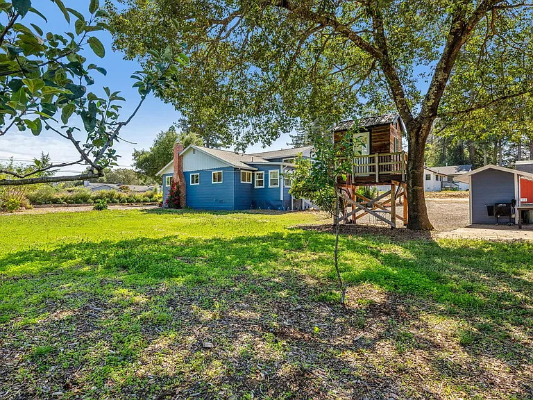 Backyard under giant oak