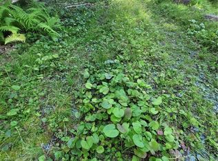 106 Woodridge Rd, Banner Elk, NC 28604