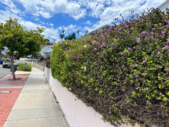 4th image of 1905 Elanita Dr