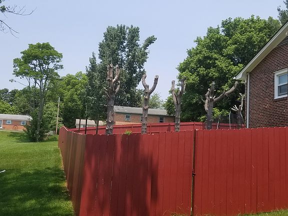 3rd image of 5475 Lovell Dr