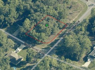 11019 N Morrell Dr, Citrus Springs, FL 34434
