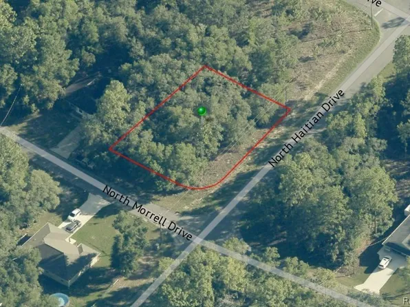 11019 N Morrell Dr, Citrus Springs, FL 34434