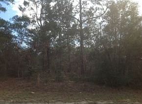 3rd image of 4812 W Maverick Ct