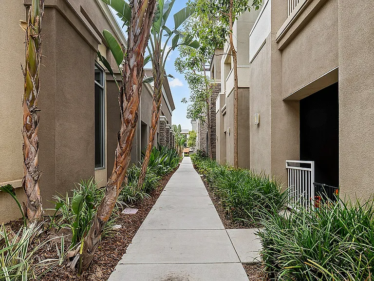 Courtyard at Tempo at Riverpark