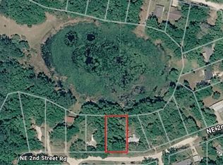 LOT 19 NE 2nd Street Rd Lot 19, Silver Springs, FL 34488