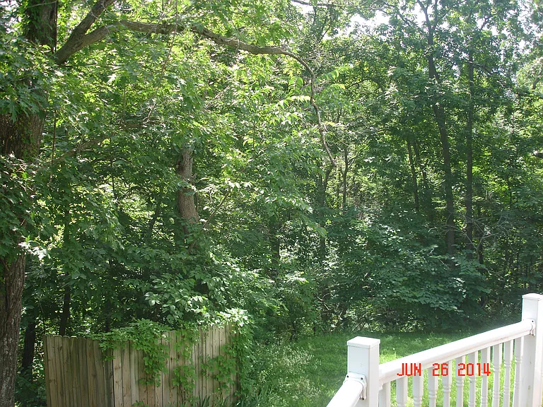 530 SE 325th Rd — Photo 6