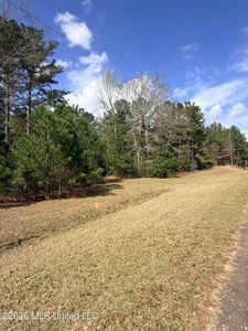 Park Pl, McComb, MS, 39648