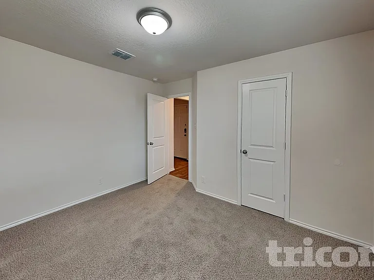 15406 Shortwing — Photo 11
