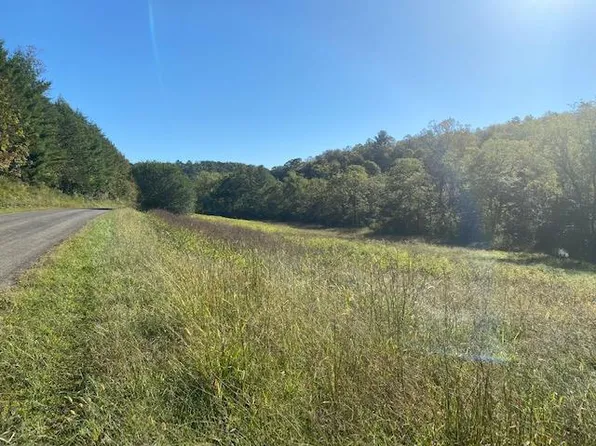 Parkview Dr, Cana, VA 24317