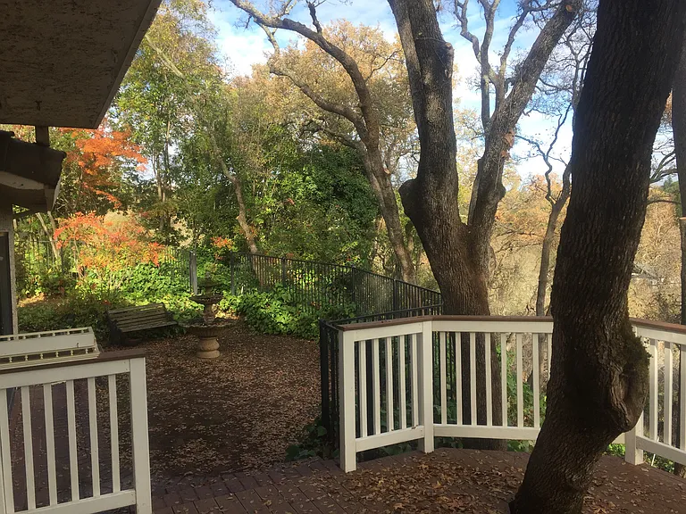 110 Rock Ravine Ct — Photo 26