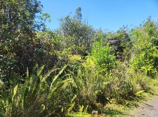 Road 6, Kurtistown, HI 96760