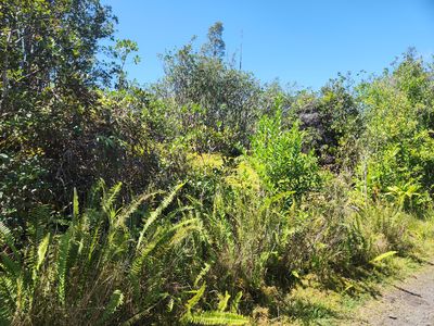 Road 6 Ooaa Lot 4166, Kurtistown, HI, 96760