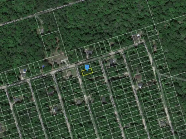 Neeley Rd, Crawfordville, FL 32327