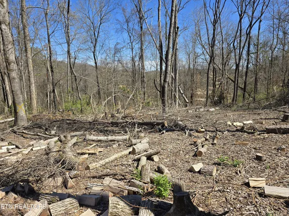 Orchard Knob Rd, Clinton, TN 37716