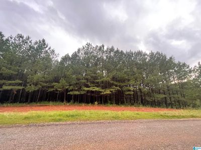 County Road 614, Woodland, AL, 36280