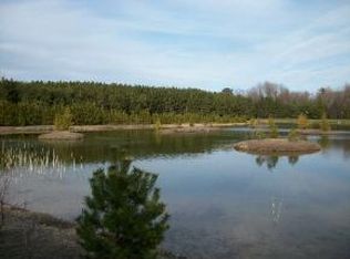 S Chase Rd, Sobieski, WI 54171