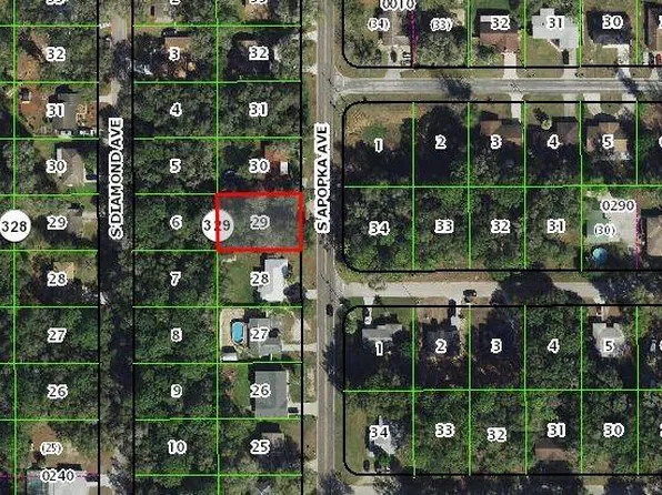 3678 S Apopka Ave Lot 29, Inverness, FL 34452