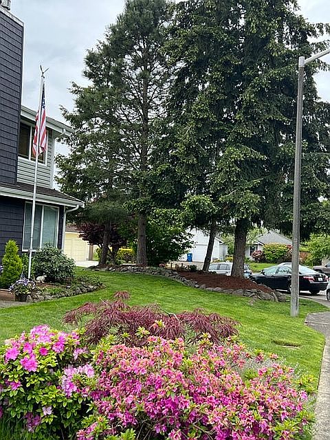 2nd image of 10915 SE 219th Pl