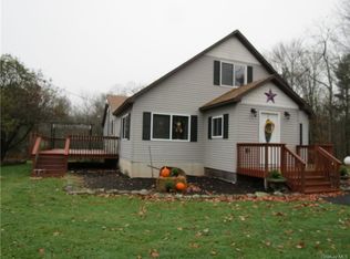 114 Pinewood Rd, Cochecton, NY 12726