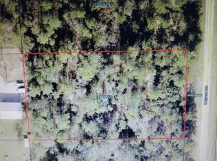 10045 Delgado Ave, Hastings, FL 32145