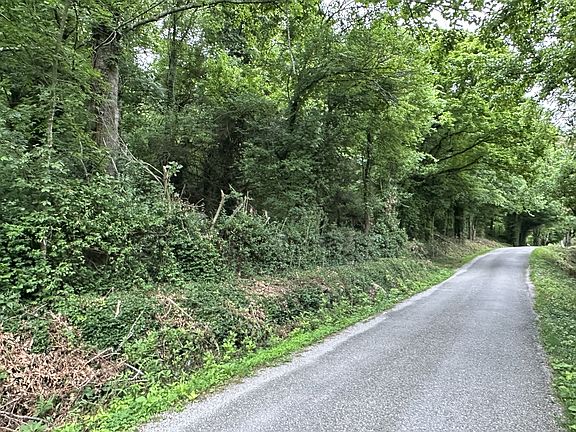 5th image of 17 Hackett Valley Rd
