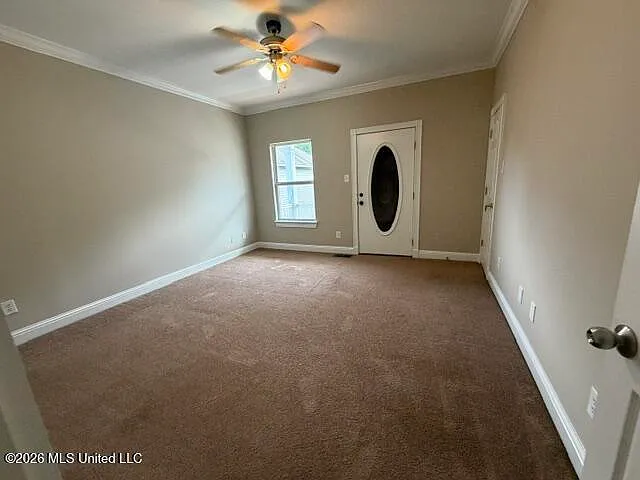 1282 Tropical Cv — Photo 10