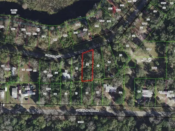 11400 E Salmon Dr, Floral City, FL 34436