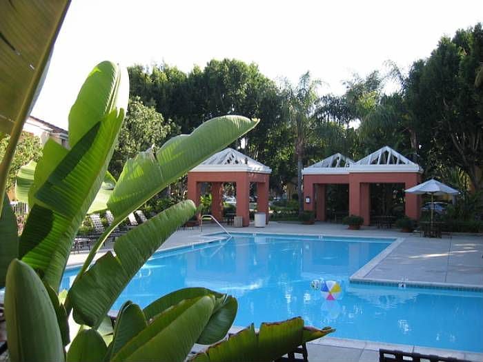 pool