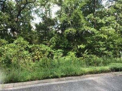 0 Ladybug Circle, Hollister, MO, 65672