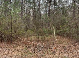 0 John Amacker Rd, Carriere, MS 39426