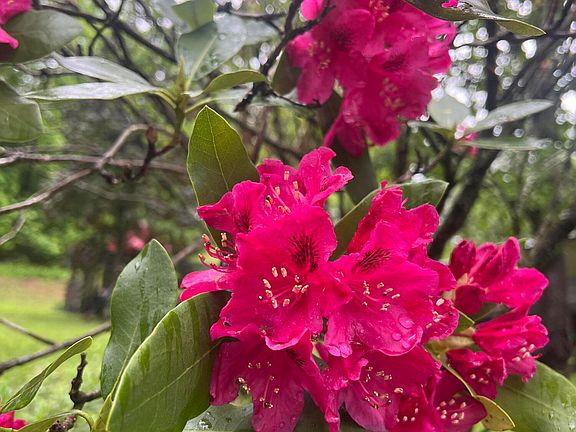 59th image of this home