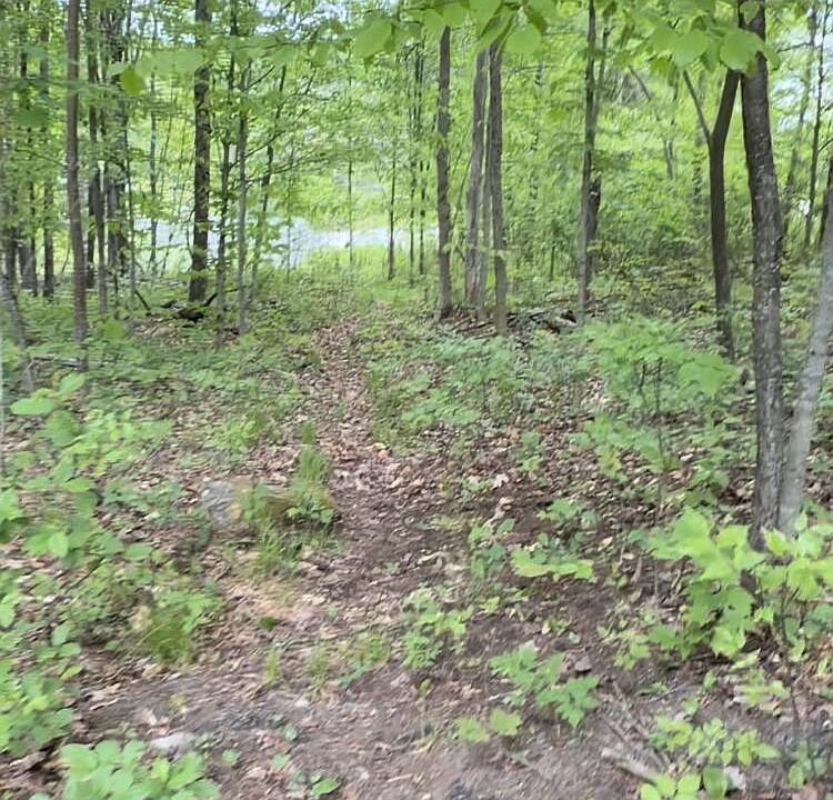 1st image of 20 Tifani Ln