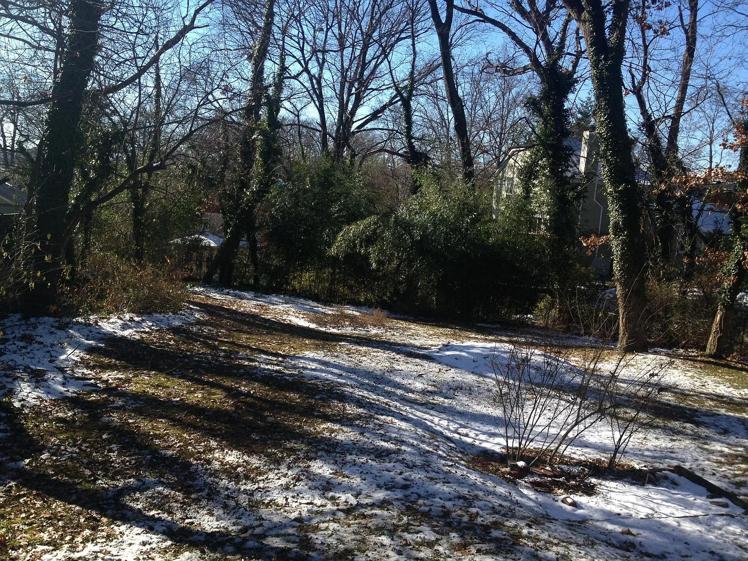 3 bed, 2.5 bath, 1750 sqft, $4,475 — Photo 3