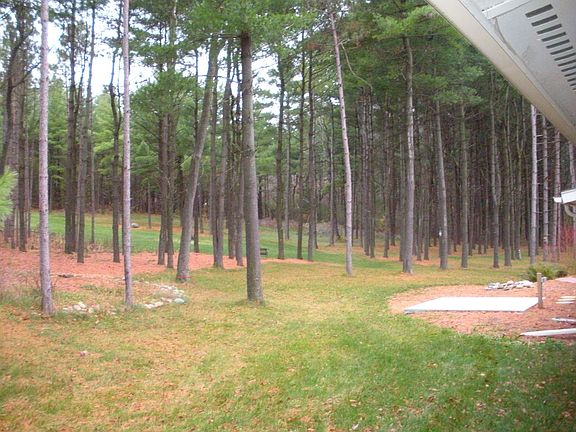 Backyard from Left side of House