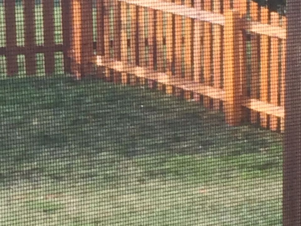 2nd image of 2414 Canvasback Dr