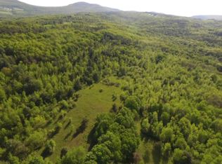 405 Allen Teator Rd, East Durham, NY 12423