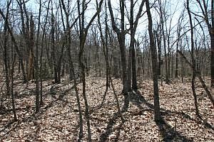 2nd image of 29 Terrapin Rd #76