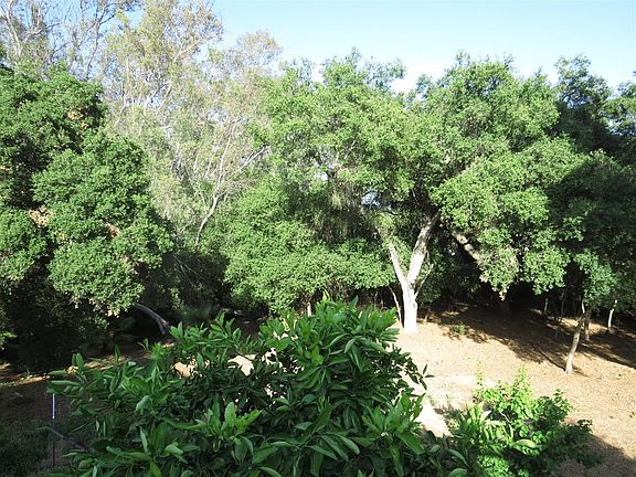 4th image of 636 Oak Glade Dr