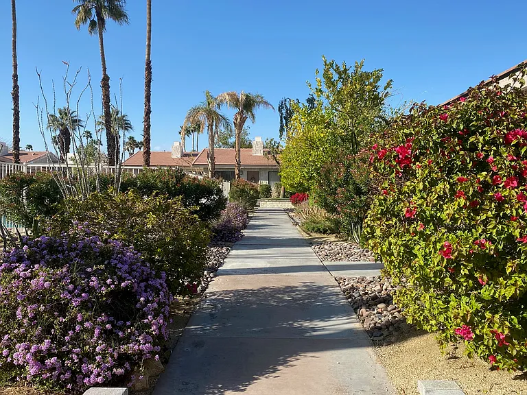 Desert Dorado Villas — Photo 25
