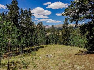 308 Quarry Rd, Fairplay, CO 80440