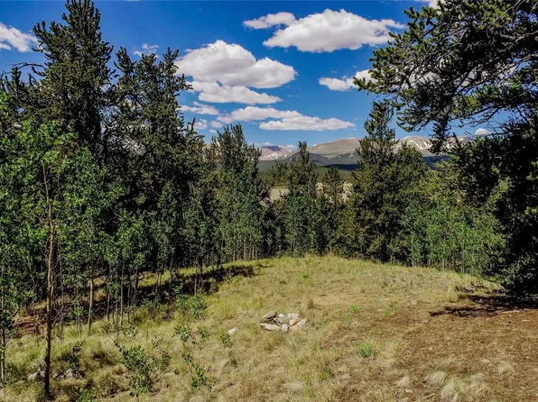 308 Quarry Rd, Fairplay, CO 80440