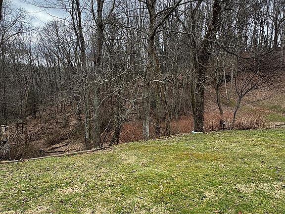 5th image of 479 Abney Rd